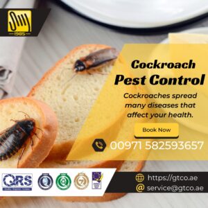 cockroackes pest control